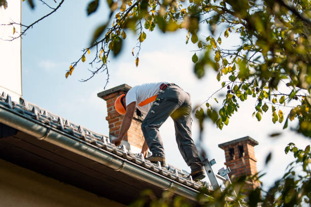Best New Roof Installation  in Coleman, MI