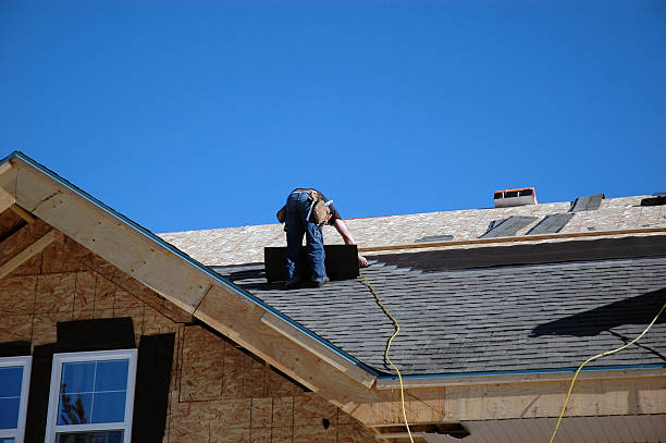 Best Metal Roofing Contractor  in Coleman, MI