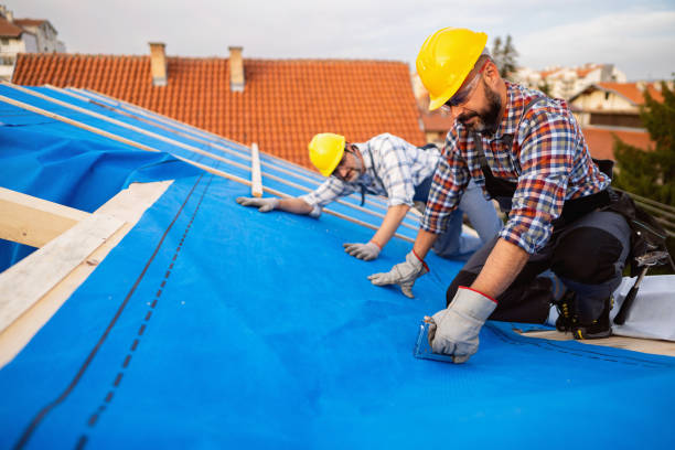 Best Roof Leak Repair  in Coleman, MI