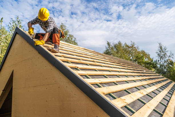 Best Local Roofing Companies  in Coleman, MI