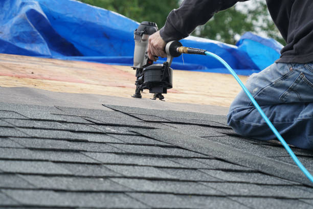 Best Metal Roofing Contractor  in Coleman, MI