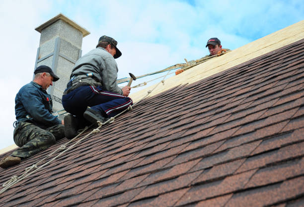 Best Residential Roofing Contractor  in Coleman, MI