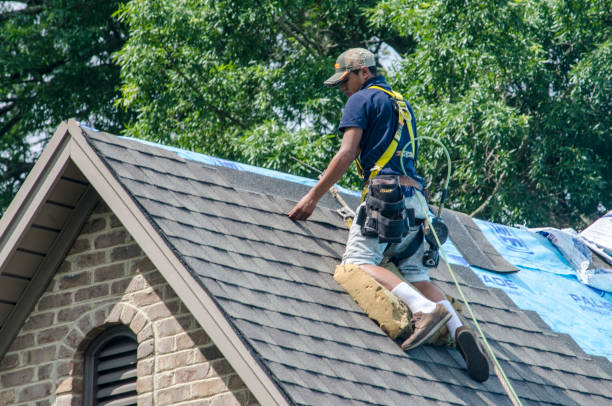Trusted Coleman, MI Roofing Contractor Experts